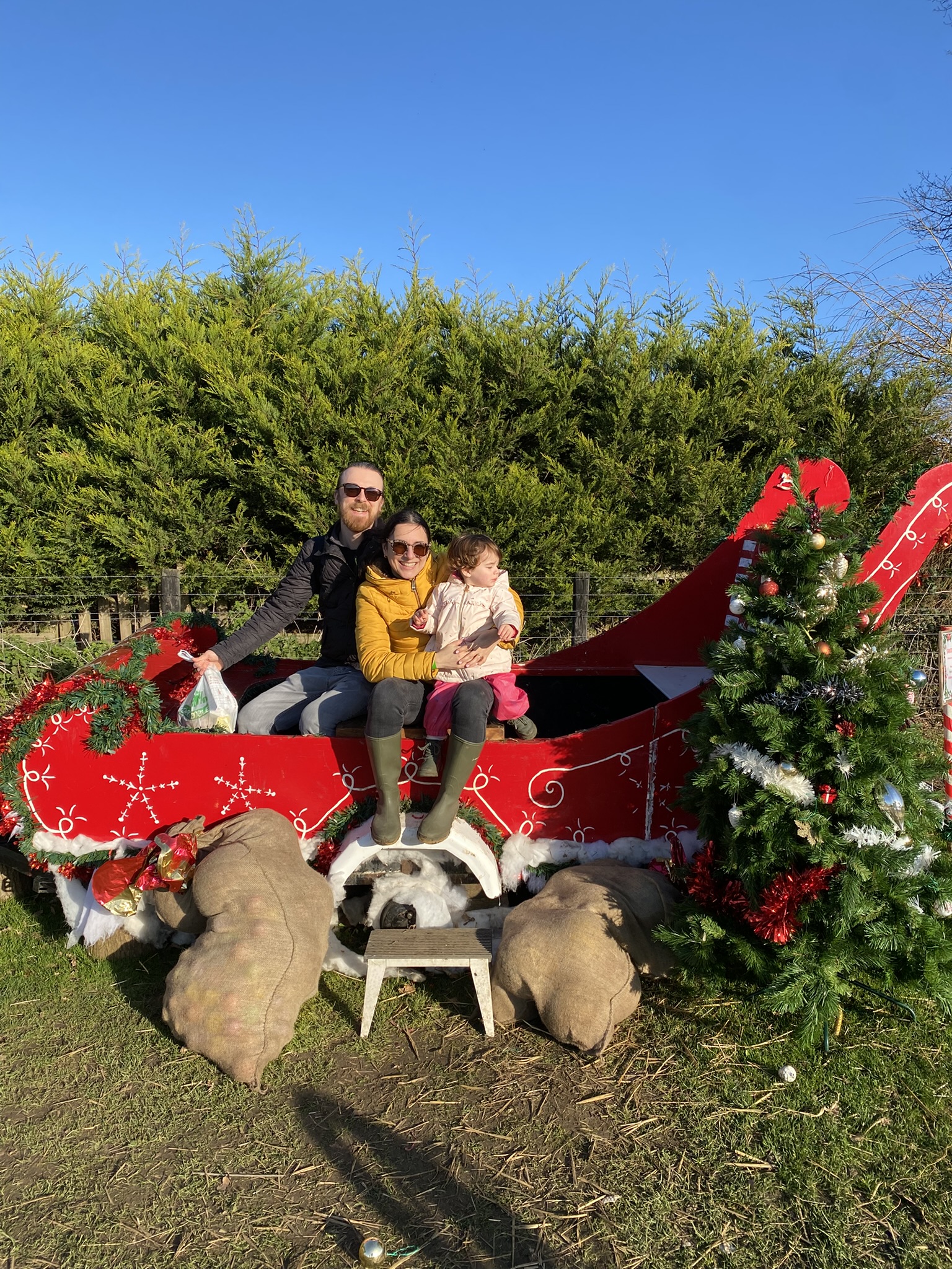 Christmas at home